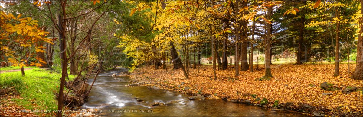 Peter Bellingham Photography Harrietville - VIC (PBH3 00 34330)